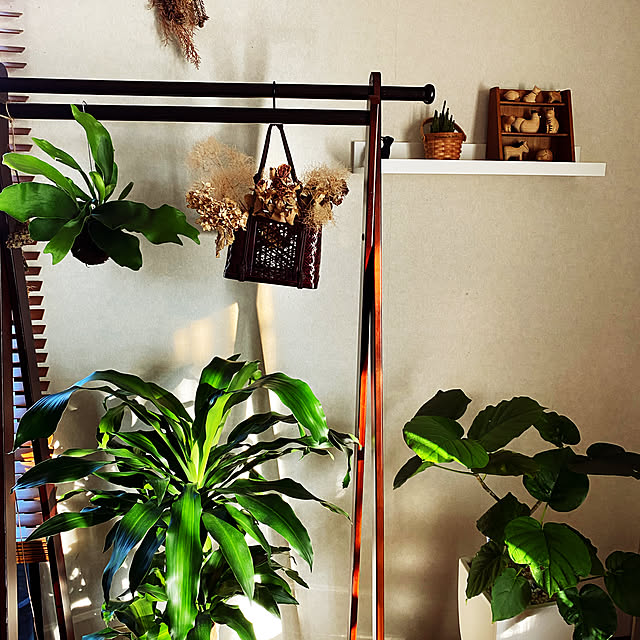 birdie0908さんの実例写真