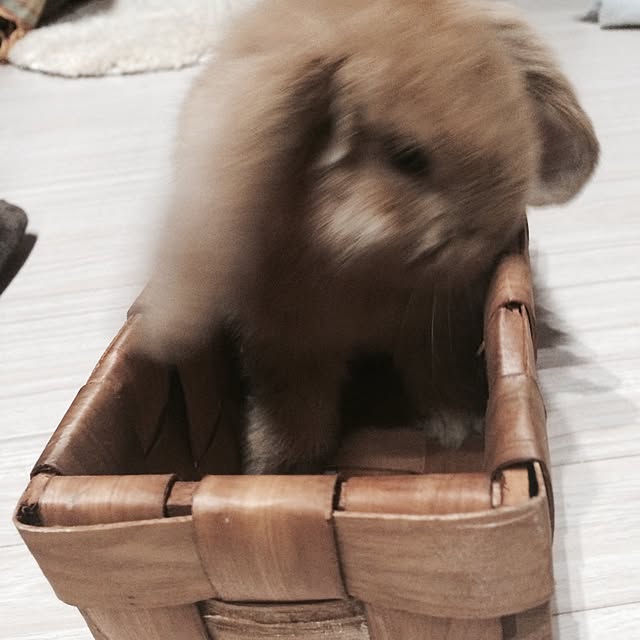 NaoMさんの実例写真
