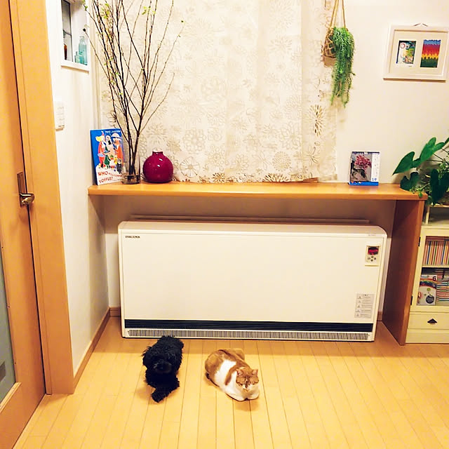 imacoco-3さんの実例写真