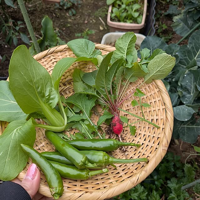 botanさんの部屋