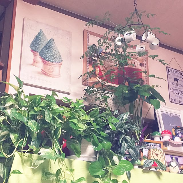 ichigonohanaさんの実例写真