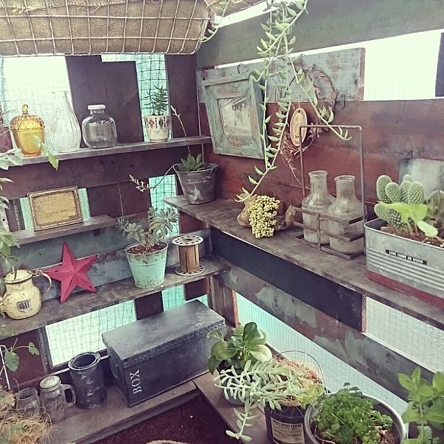 miki_kuma_koさんの実例写真