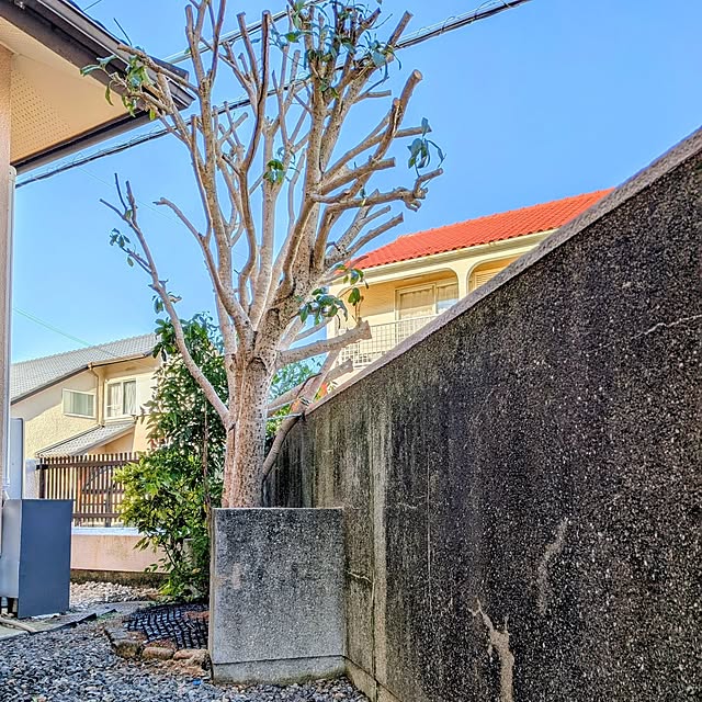 Renさんの実例写真