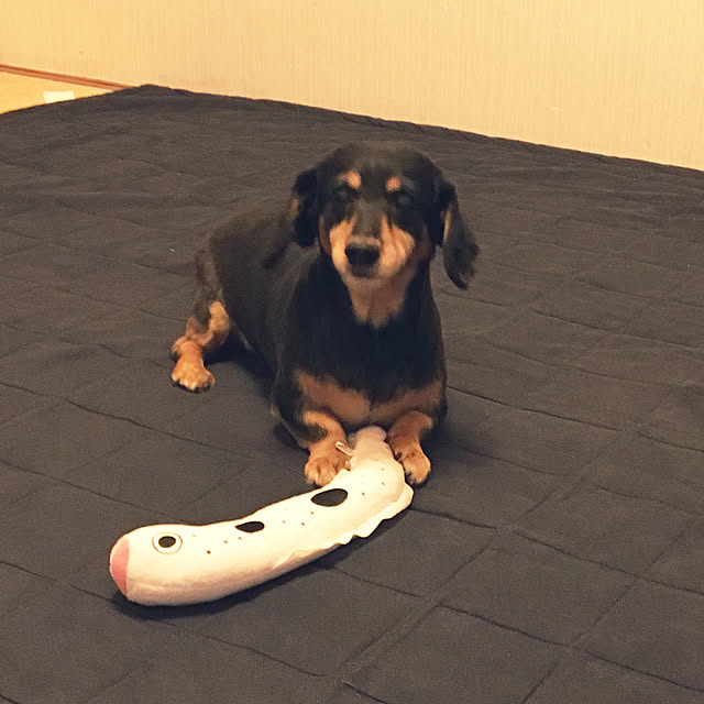 ohanaさんの実例写真