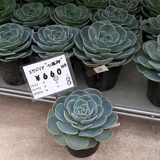 amtさんの実例写真