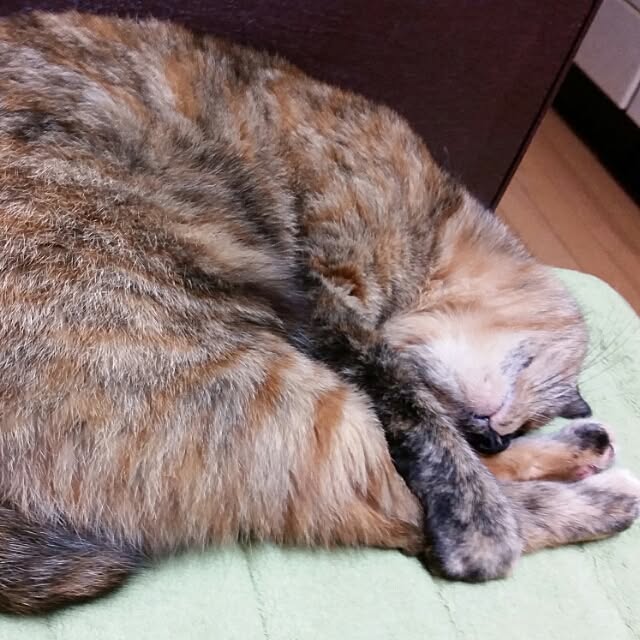 asianoneさんの実例写真