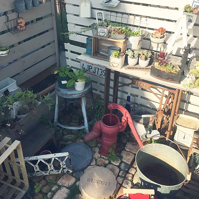 Toshikoさんの実例写真