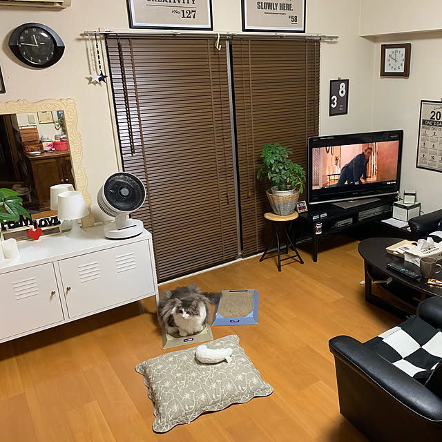 sakuさんの部屋