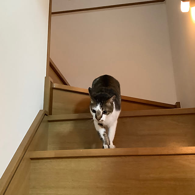 haruminさんの部屋