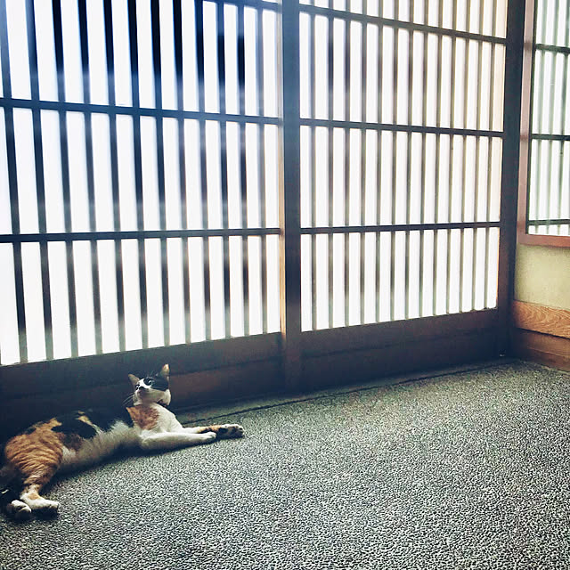 maroさんの実例写真