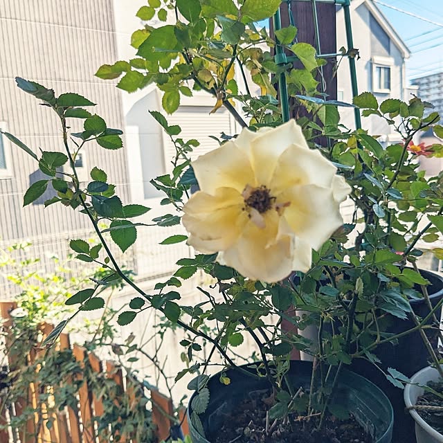 kazuさんの部屋