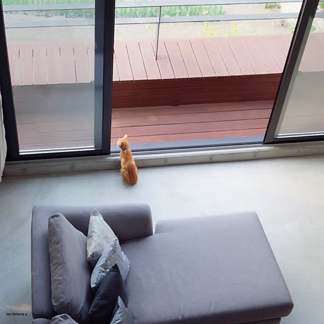 YOHKOさんの実例写真