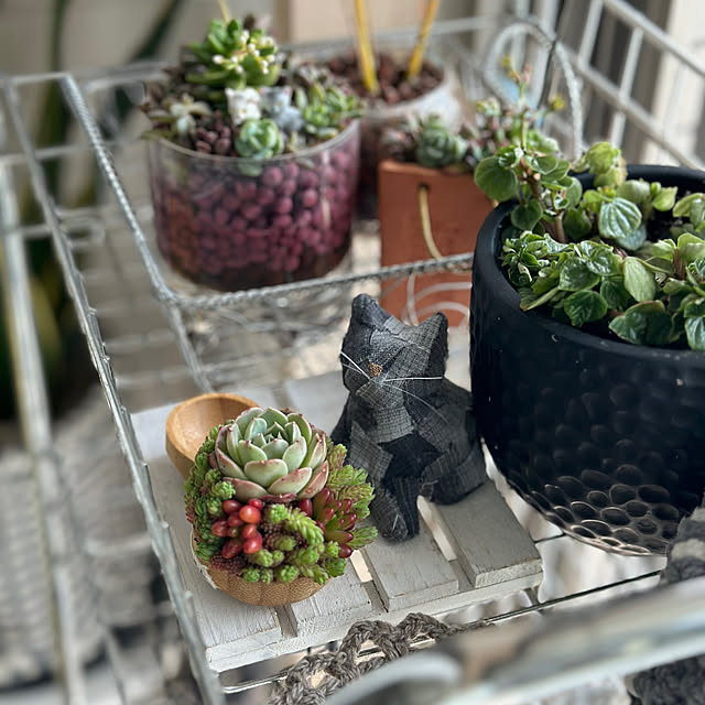 kittyさんの部屋