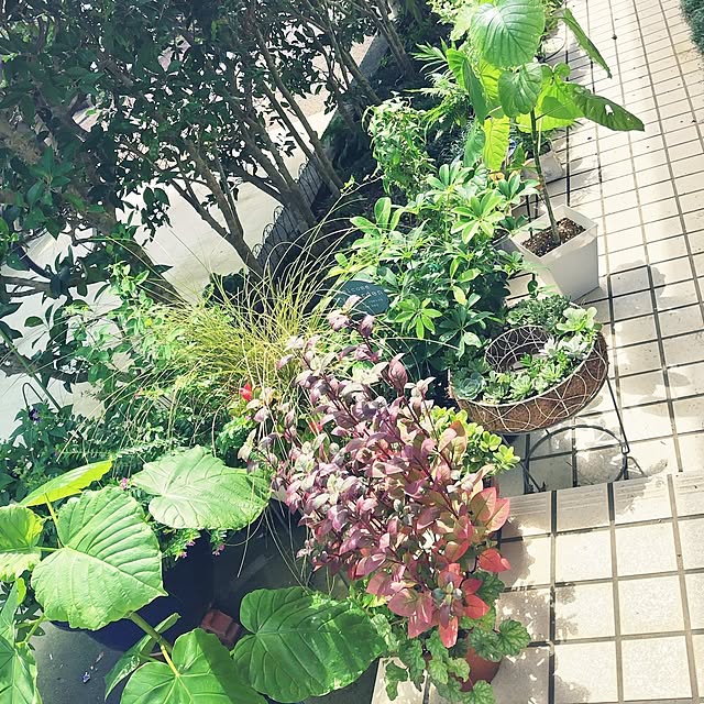 katさんの部屋