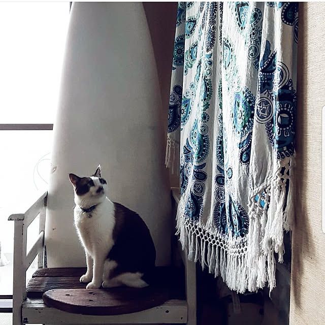 rskさんの実例写真