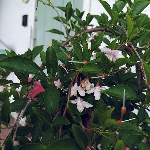 prepreさんの部屋