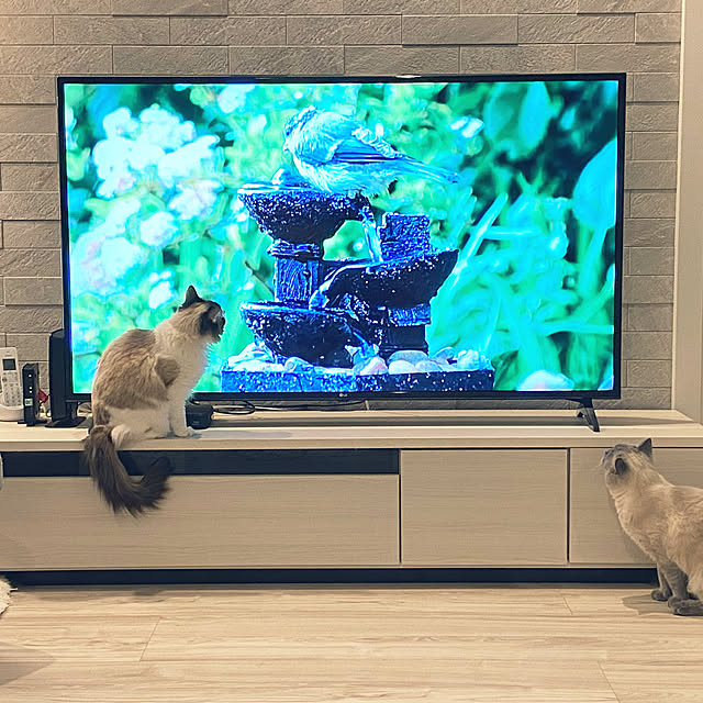 gingerwynksさんの実例写真