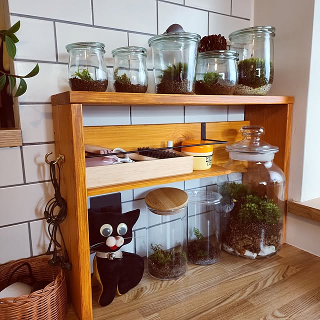 gogosuzuchanさんの部屋