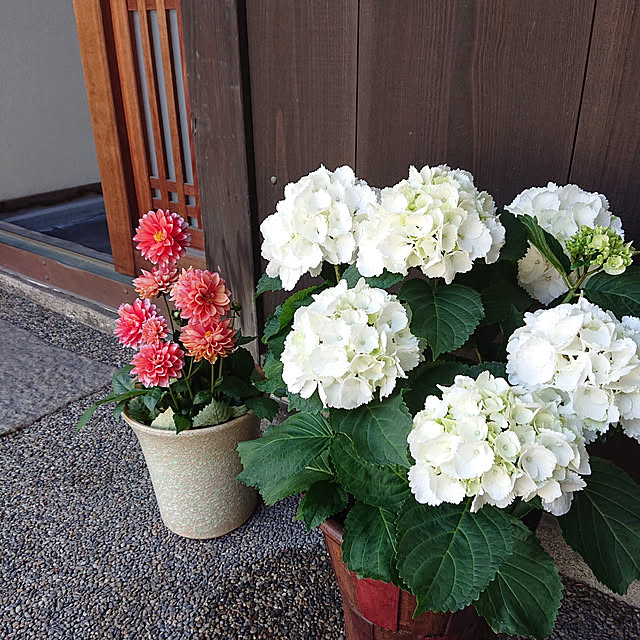 MIPORINNさんの実例写真
