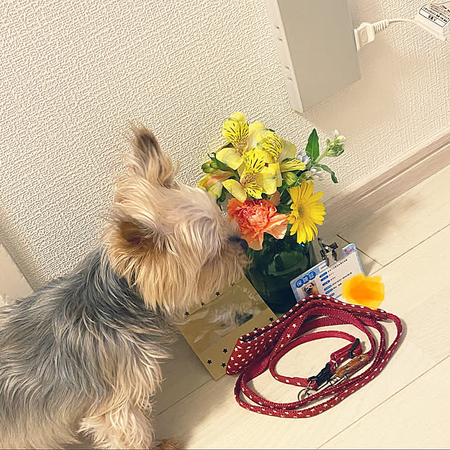 ohanaさんの実例写真