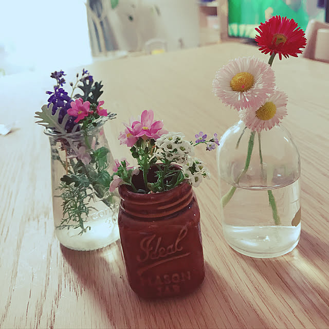 観葉植物/ナチュラル/庭/ガーデニング/多肉植物...などのインテリア実例 - 2021-04-21 16:25:48
