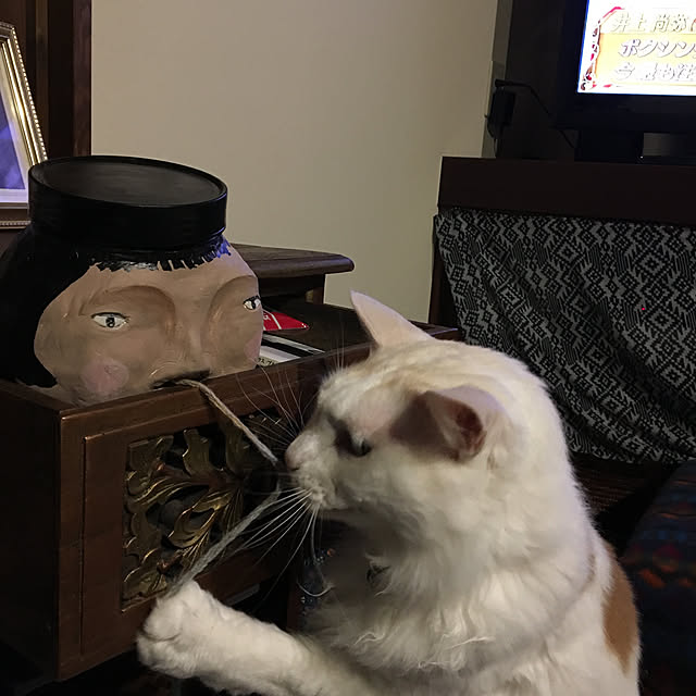 shigimiさんの実例写真