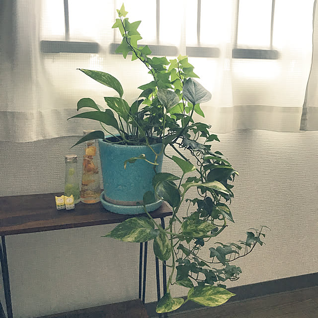 kaoringoさんの実例写真