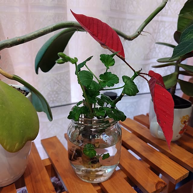 kakkoさんの部屋