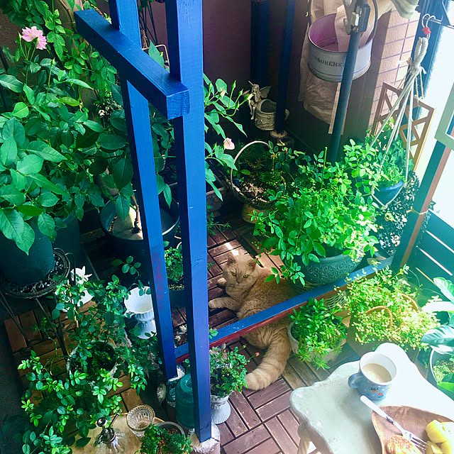 naokoさんの部屋