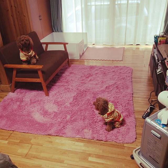 Riccaさんの実例写真