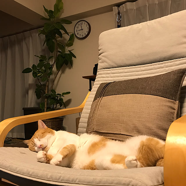 73さんの実例写真