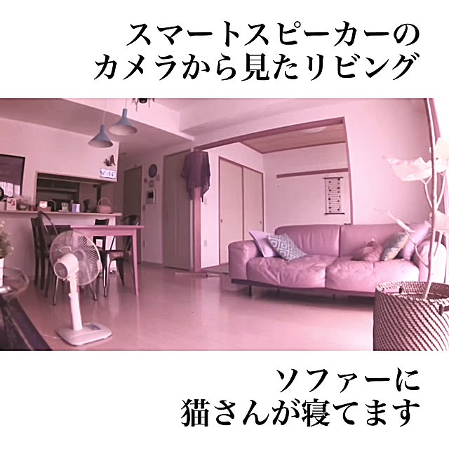 derazouさんの実例写真