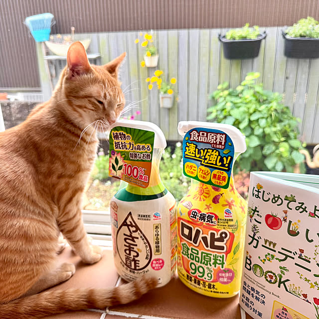 67さんの実例写真