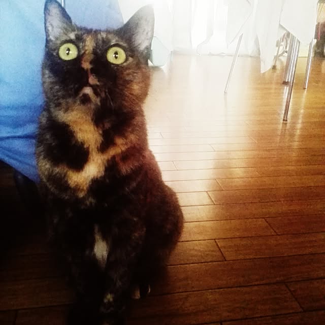 yukapiyonさんの実例写真