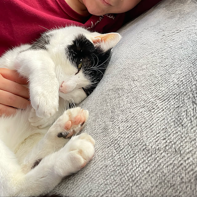 nekosamaさんの実例写真