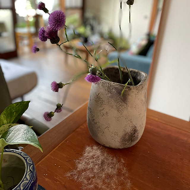 buchiさんの部屋