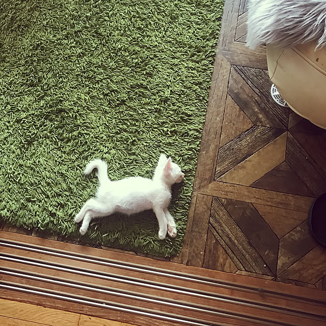 maroさんの実例写真