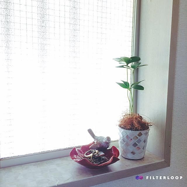 Y.designさんの実例写真