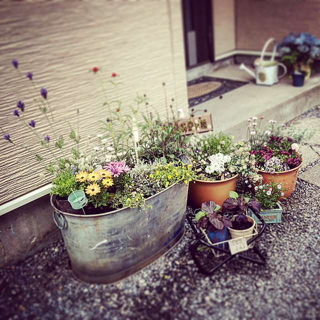 nyaoさんの実例写真