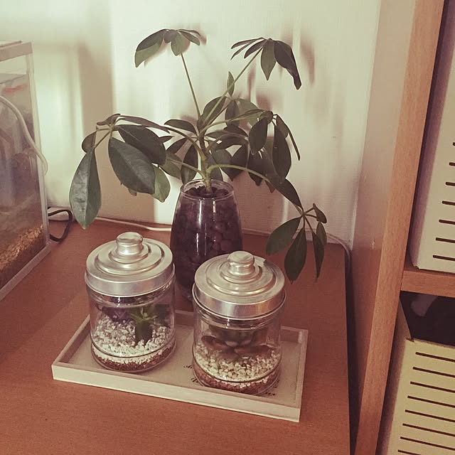 hiroranさんの実例写真