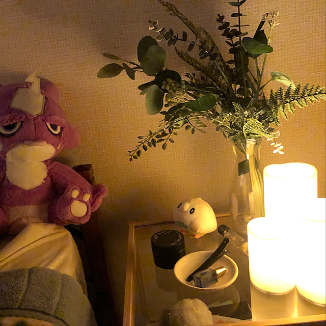 ナチュラル/観葉植物/北欧/雑貨/IKEA...などのインテリア実例 - 2021-01-22 01:44:27