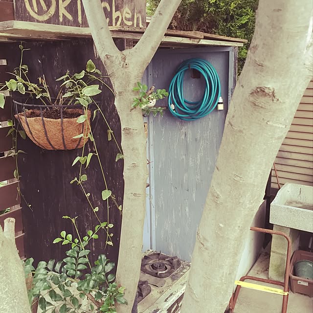 ka_achanさんの実例写真