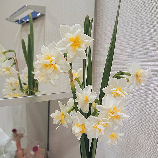 enjoyさんの実例写真