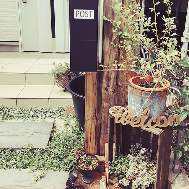 itoさんの実例写真