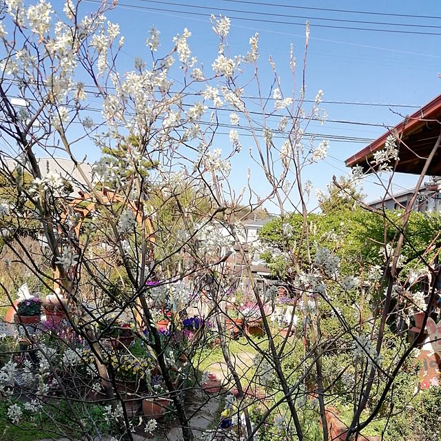 haruiroさんの部屋