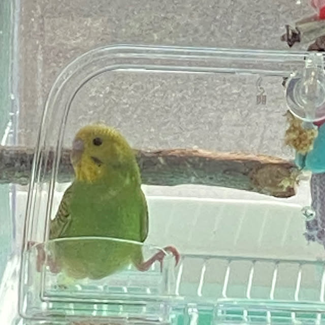 ohanaさんの部屋