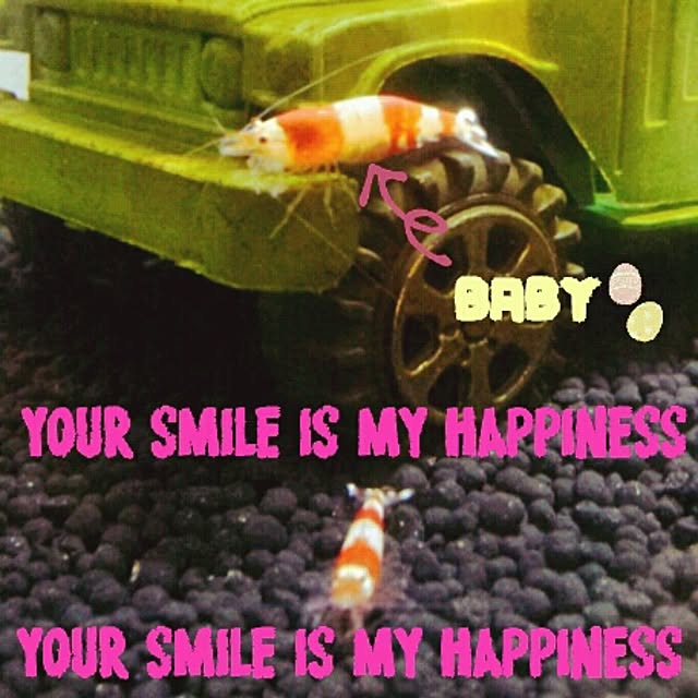 Little-Bambiさんの実例写真