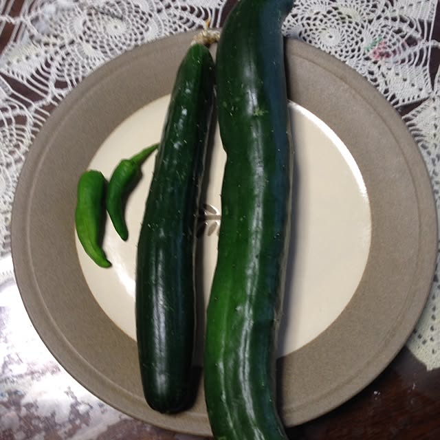 moさんの実例写真