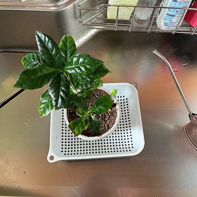 mogumoguさんの部屋