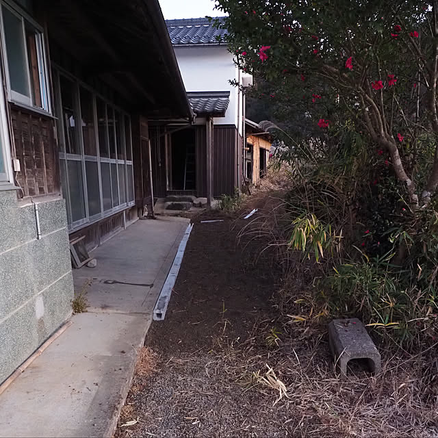 akikaze-3283さんの実例写真